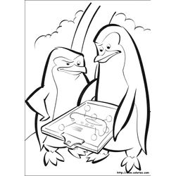 Pingüino #8157