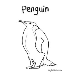 Pingüino #8158