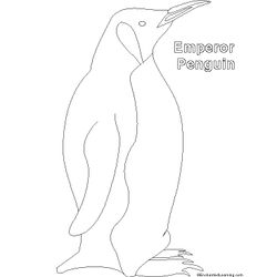 Pingüino #8161