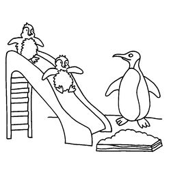 Pingüino #8162