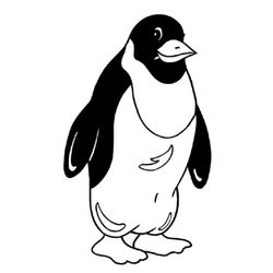 Pingüino #8164