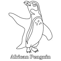 Pingüino #8169