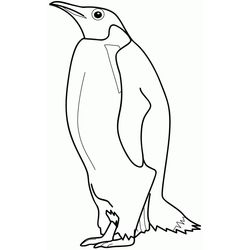 Pingüino #8177