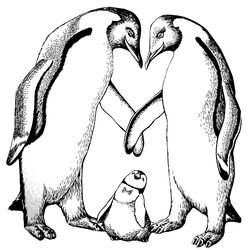 Pingüino #8181