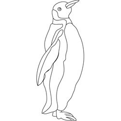 Pingüino #8225