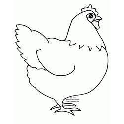 Pollo #8233