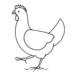 Pollo #8234