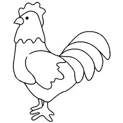 Pollo #8239