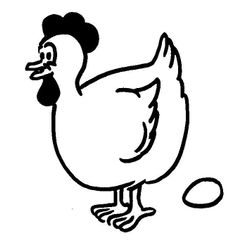 Pollo #8240