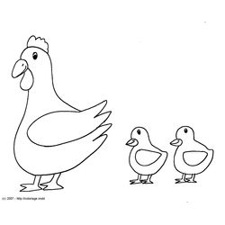 Pollo #8245