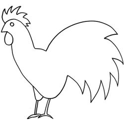 Pollo #8246