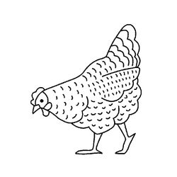 Pollo #8256