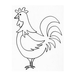 Pollo #8261