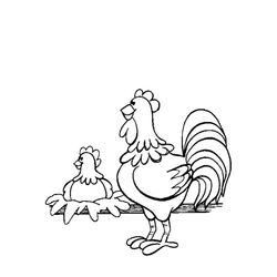 Pollo #8271