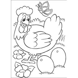Pollo #8272