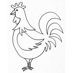 Pollo #8273