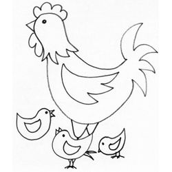 Pollo #8278
