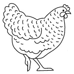 Pollo #8282
