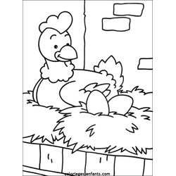 Pollo #8285