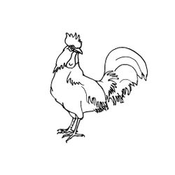 Pollo #8286