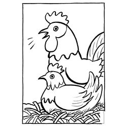 Pollo #8299