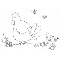 Pollo #8303