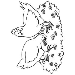 Pollo #8304