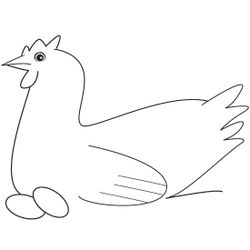 Pollo #8317