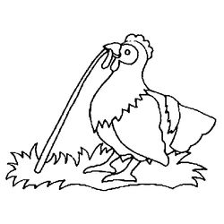 Pollo #8339