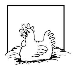 Pollo #8340