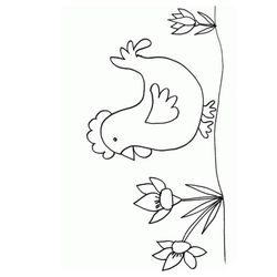 Pollo #8353