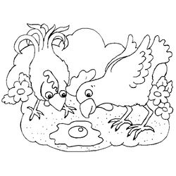 Pollo #8355