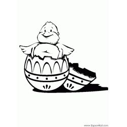Pollo #8359