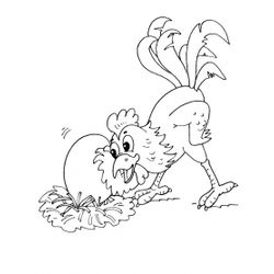 Pollo #8361