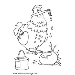Pollo #8366