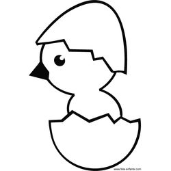 Polluelo