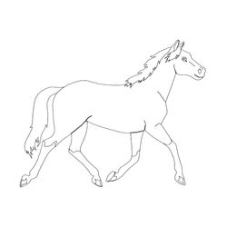 Poni #8533