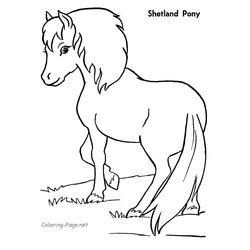 Poni #8557