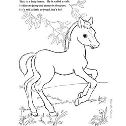 Poni #8627