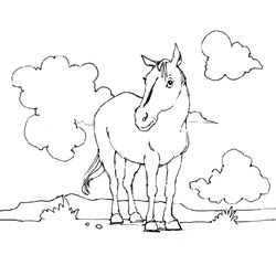 Poni #8654