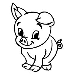 Cerdo #8673