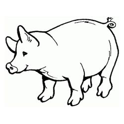 Cerdo #8674