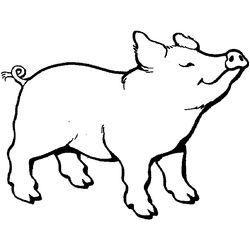 Cerdo #8677