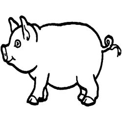 Cerdo #8679