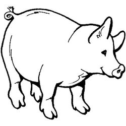 Cerdo #8681