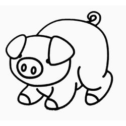 Cerdo #8684