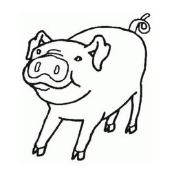 Cerdo #8703
