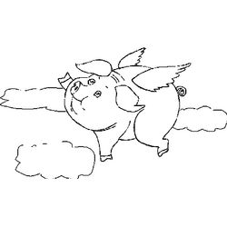 Cerdo #8724