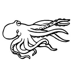 Pulpo #8729