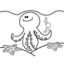 Pulpo #8740